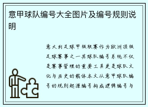 意甲球队编号大全图片及编号规则说明
